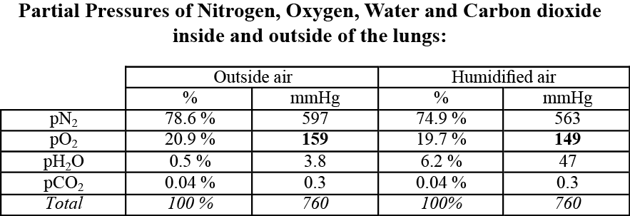 Diffusion of gasses from air into water