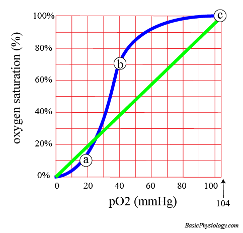 Normal Oxygen Dissociation graph
